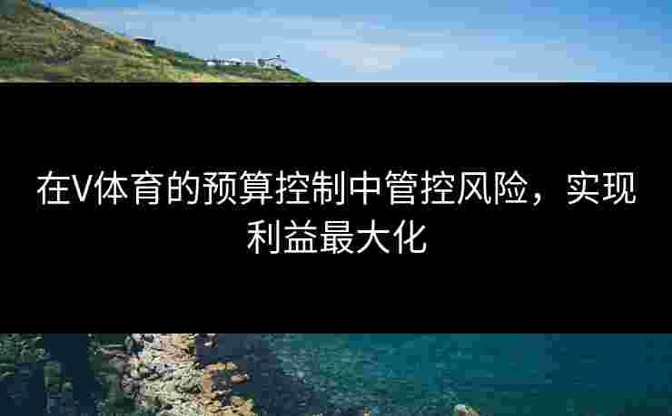 在V体育的预算控制中管控风险,实现利益最大化 在V体育的预算控制中管控风险,实现利益最大化