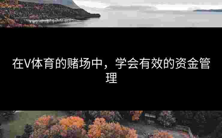 在V体育的赌场中,学会有效的资金管理 在V体育的赌场中,学会有效的资金管理