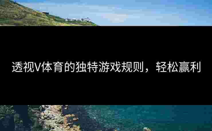 透视V体育的独特游戏规则，轻松赢利