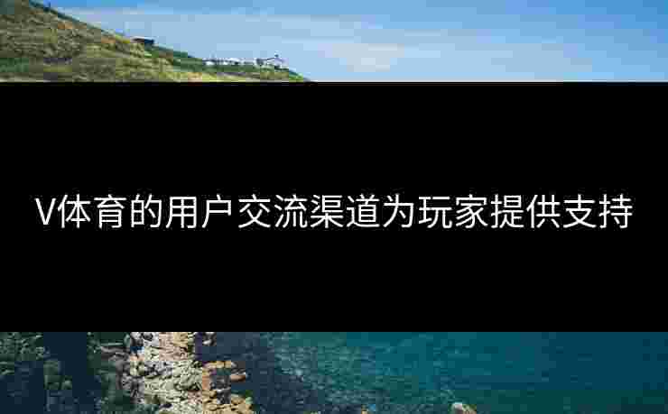 V体育的用户交流渠道为玩家提供支持